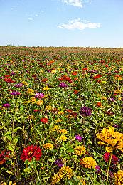 心虚了？分析机构确认：育碧停止共享具体销售数据！